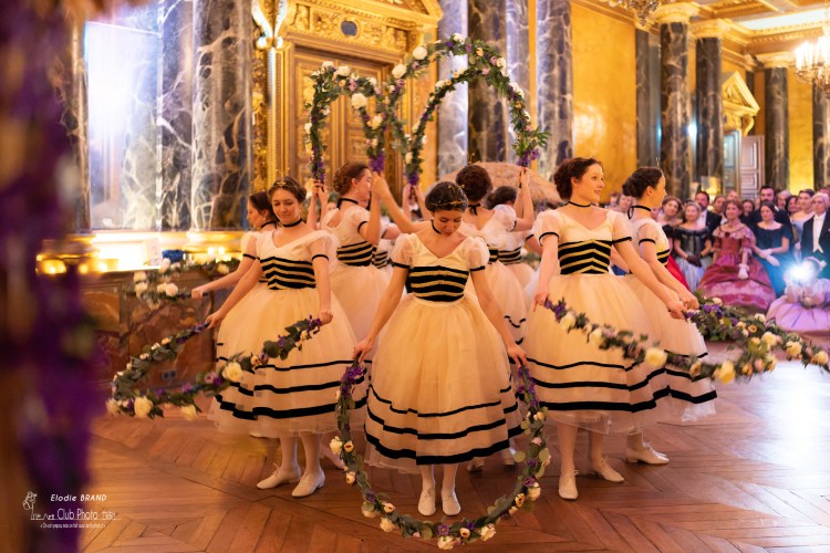 danse-historique-reconstitution-historique-danse-historique-abeilles-1