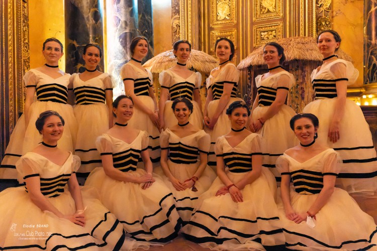 danse-historique-reconstitution-historique-danse-historique-abeilles-10