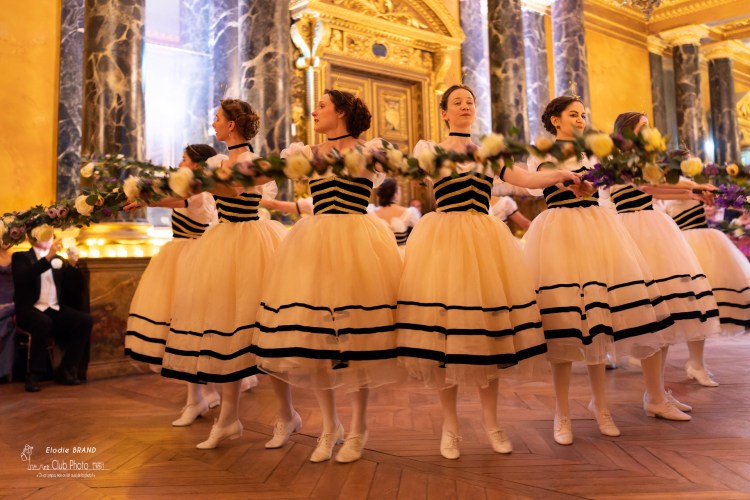 danse-historique-reconstitution-historique-danse-historique-abeilles-2