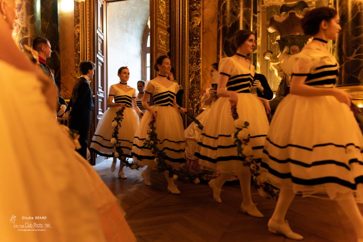 danse-historique-reconstitution-historique-danse-historique-abeilles-4